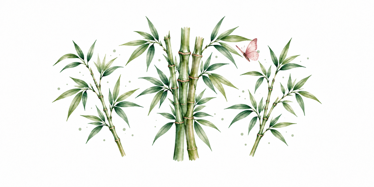 Visuel Bambou papillon