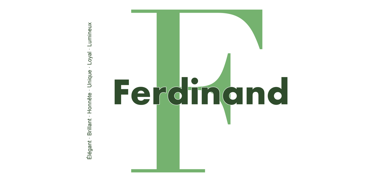 Visuel à plat du mug prénom Ferdinand : initiale F pleine hauteur, prénom Ferdinand centré et ligne verticale « Élégant · Brillant · Honnête · Unique · Loyal · Lumineux »